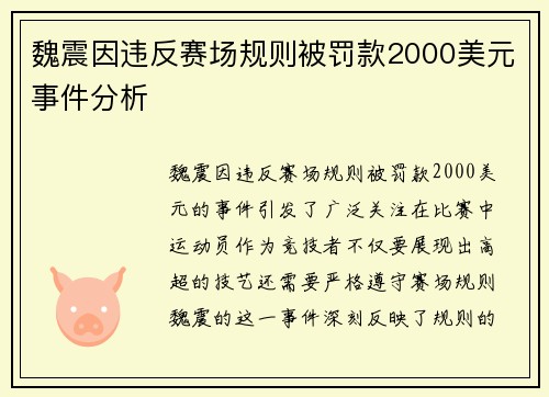 魏震因违反赛场规则被罚款2000美元事件分析