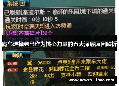 魔鸟选择老马作为核心力量的五大深层原因解析